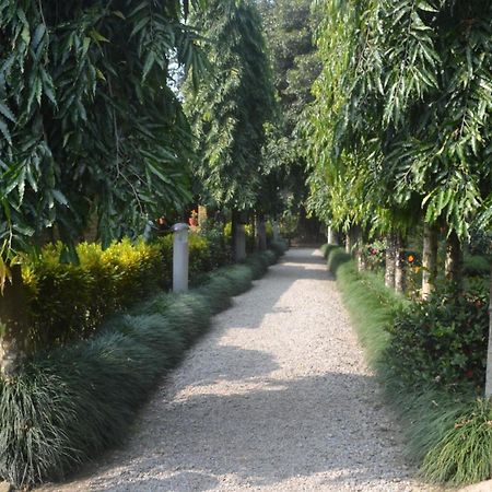 River View Jungle Camp 사우라하 객실 사진