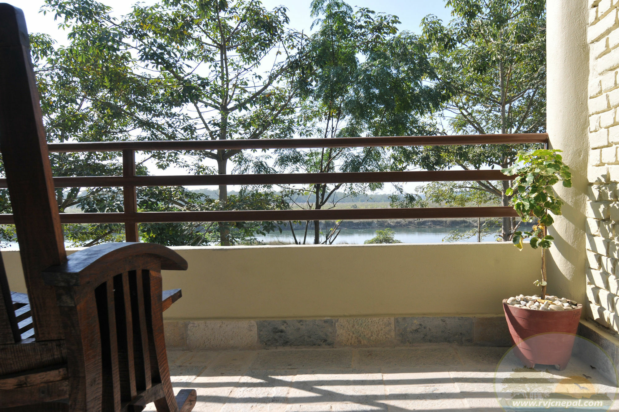 River View Jungle Camp 사우라하 외부 사진