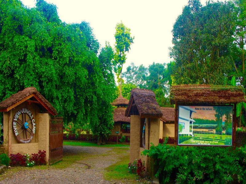 River View Jungle Camp 사우라하 외부 사진