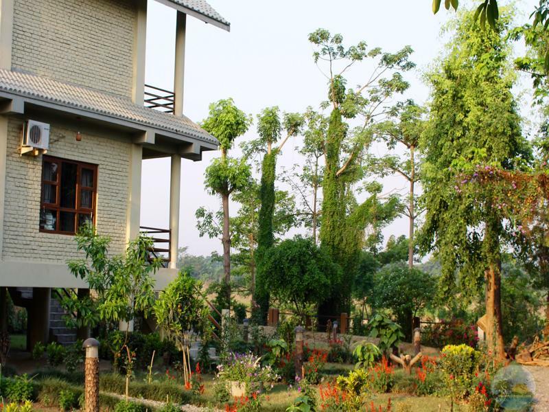 River View Jungle Camp 사우라하 외부 사진